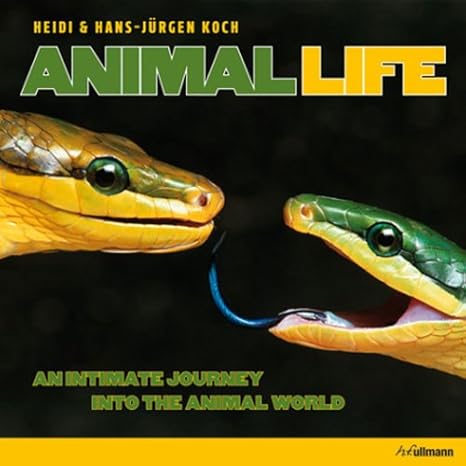 Animal Life: An Intimate Journey into the Animal World by Heidi and Hans Jurgen Koch | h. f. ullmann