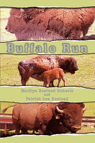 Buffalo Run by Marilyn Roberts | iUniverse; 0 edition
