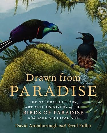 Drawn from Paradise: The Natural History, Art and Discovery of the Birds of Paradise with Rare Archival Art by David Attenborough | Harper
