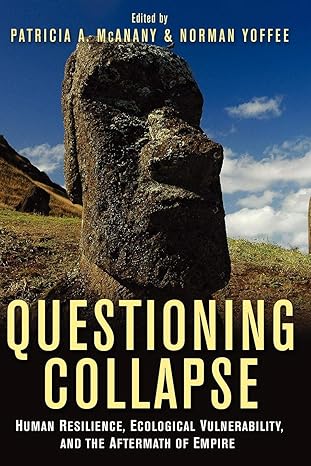 Questioning Collapse: Human Resilience, Ecological Vulnerability, and the Aftermath of Empire by Patricia A. McAnany | Cambridge University Press; 1st edition