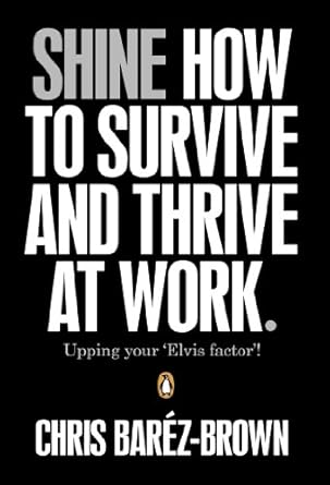 Shine: How to Survive and Thrive at Work by Chris Baréz-Brown | Portfolio