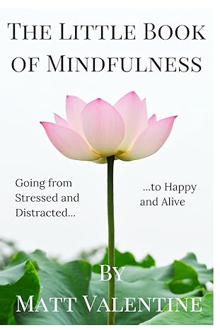 The Little Book of Mindfulness by Matt Valentine | Buddhaimonia Publishing